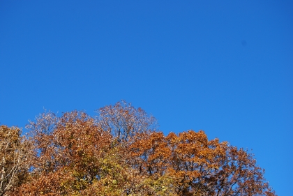 ikuta20111217_2.jpg