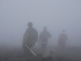 SANY0230.JPG