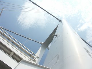 PICT0936ss.jpg