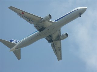 PICT0948ss.jpg