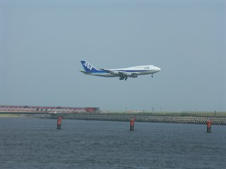 PICT0959ss.jpg